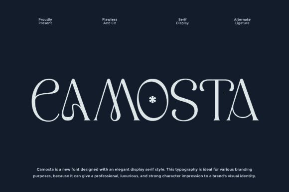 Camosta Font for Web Design